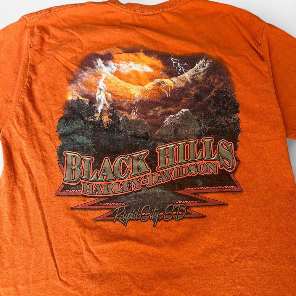 Harley Davidson black hills insane back hit faded tee shirt
